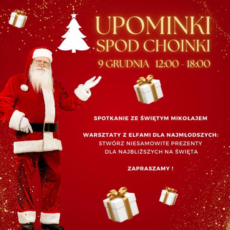 Święty Mikołaj i Elfy odwiedzą Galerię Rumia !