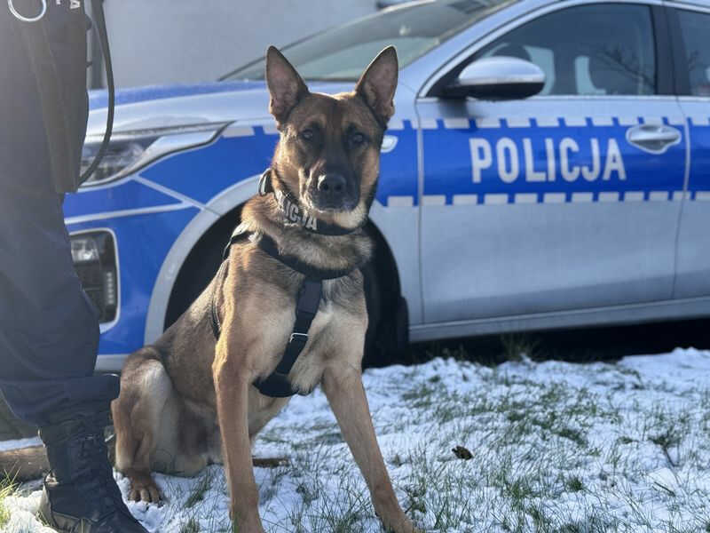 Korek podczas kontroli drogowej znalazł amfetaminę w samochodzie – kierowca trafił do policyjnego aresztu