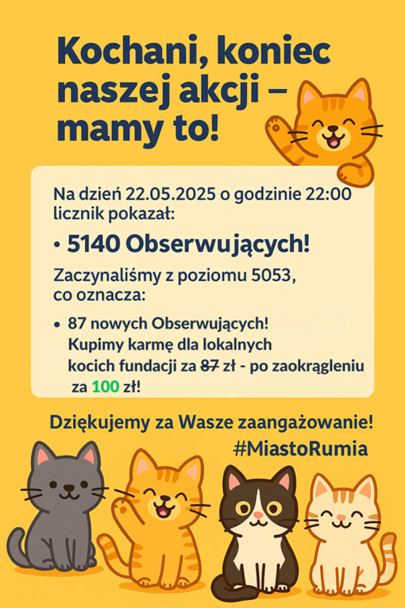 Redakcja Niezależnego Portalu MiastoRumia.pl wraz z WAMI! pomaga kotom – zakończenie szybkiej akcji