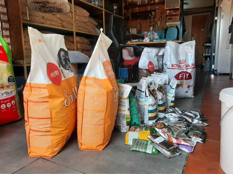 Kociaki dziękują! Tak pomogliście zwierzakom ze Stowarzyszenia Bezbronne Zwierzęta z Rumi