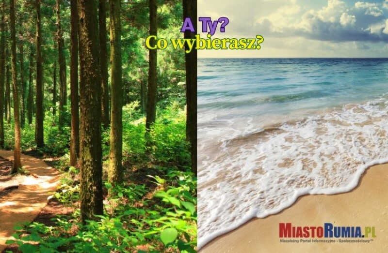 Spacer w lesie czy nad morzem? Jak wolisz spędzić niedzielę?