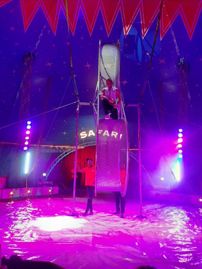Cyrk Safari - Recenzja - Czy Warto?