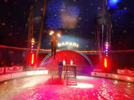 Cyrk Safari - Recenzja - Czy Warto?