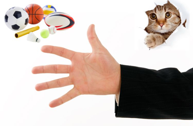 Wolontariusze Poszukiwani – Dołącz i Zmieniaj Naszą Lokalną Rzeczywistość!