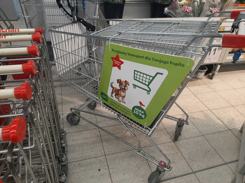 Wózki dla psów w Auchan Rumia. Brawo za inkluzywność!