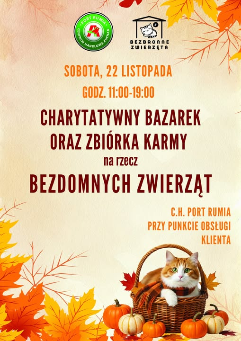 Charytatywny Bazarek oraz zbiórka karmy dla bezdomnych zwierząt w Port Rumia