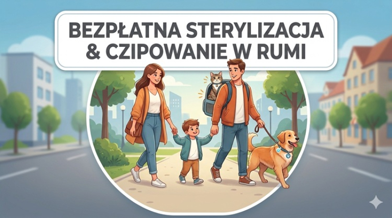 Bezpłatna sterylizacja i czipowanie zwierząt w Rumi