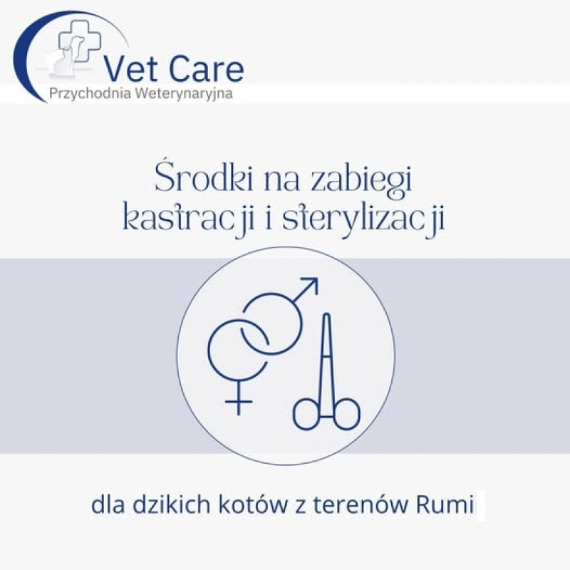 Program sterylizacji dla kotów wolno żyjących z Rumi. Vet Care w Kosakowie zaprasza do kontaktu