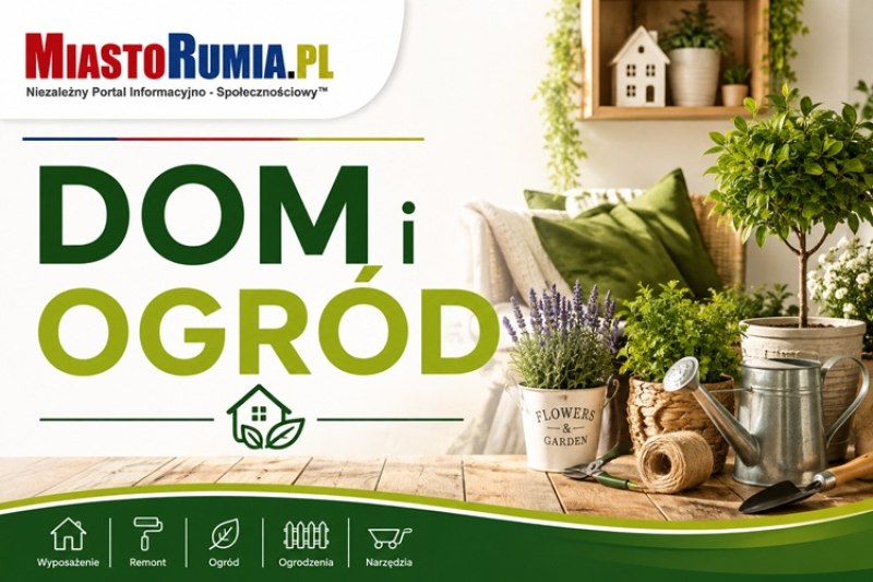 Dom i ogród w Rumi. Gdzie znaleźć fachowca do prac ogrodniczych i domowych?